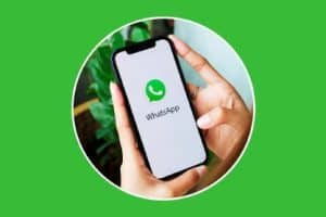 Guía completa de WhatsApp iOS: tutoriales, funciones y novedades