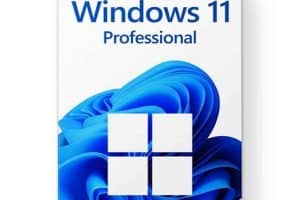 Windows 11 professional: guía práctica y consejos esenciales